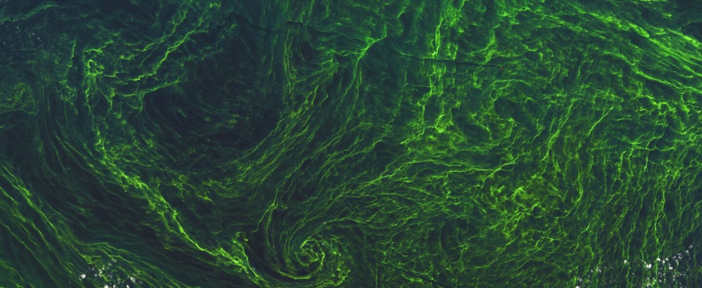 Maya Minder MICUL MICUL