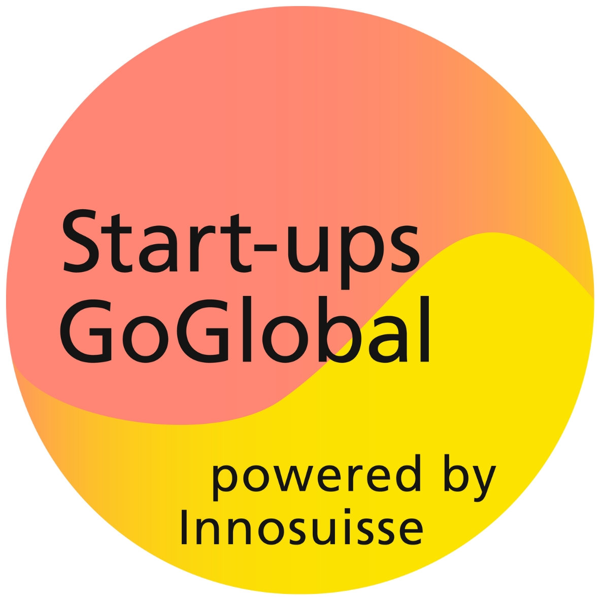 Innosuisse Startups Go Global