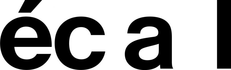 ECAL