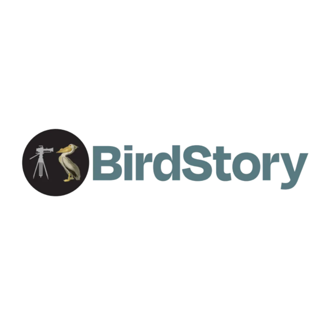 Birdstory