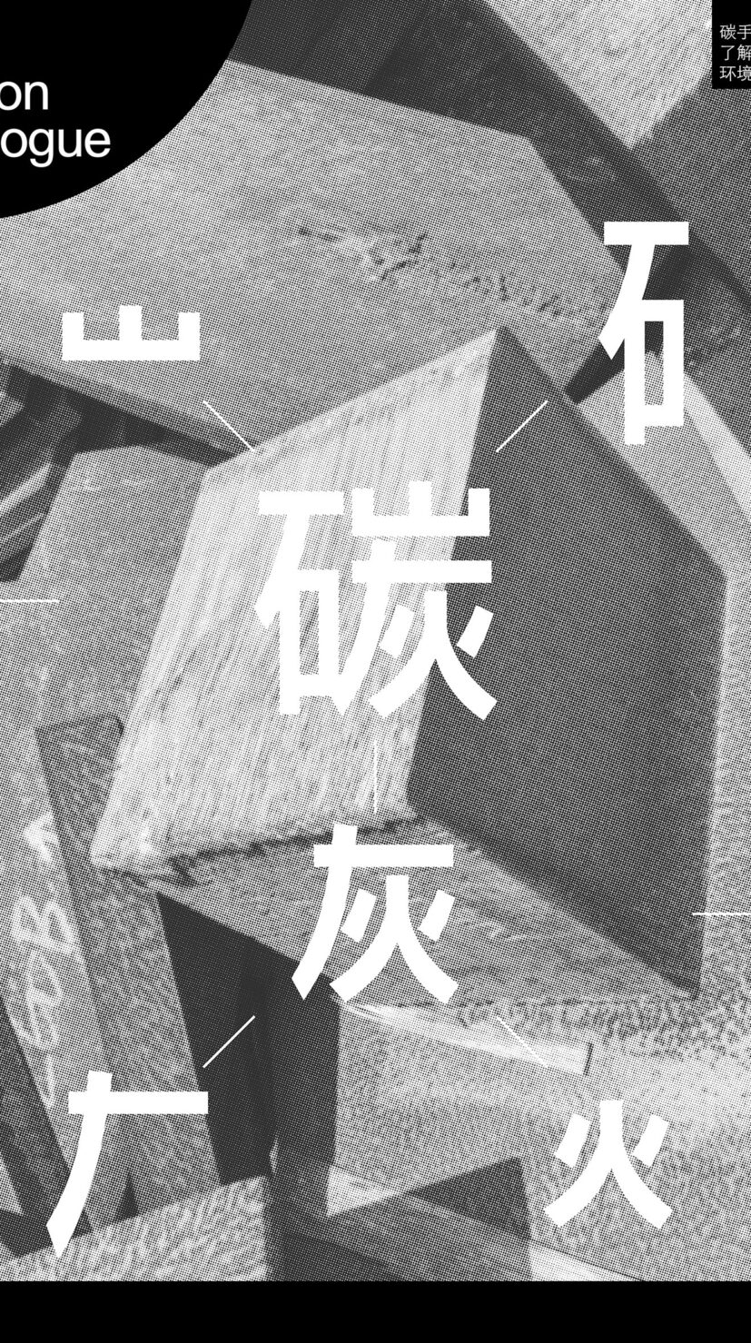 Café des Sciences The New Carbon Consciousness Swissnex in China