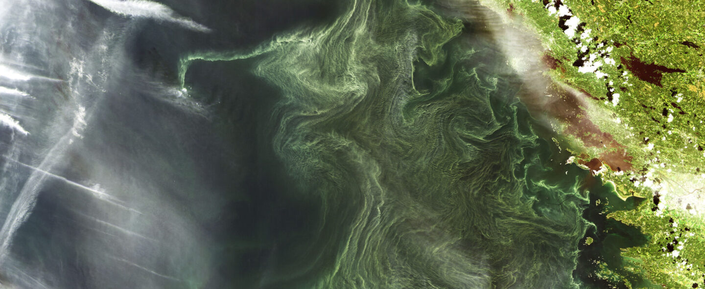 Maya Minder MICUL MICUL