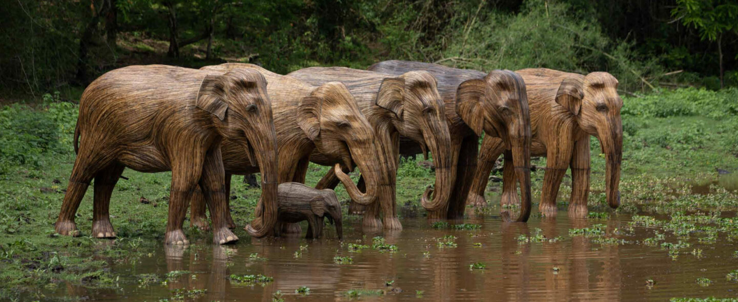 Human-Wildlife Coexistence, Lantana Elephants