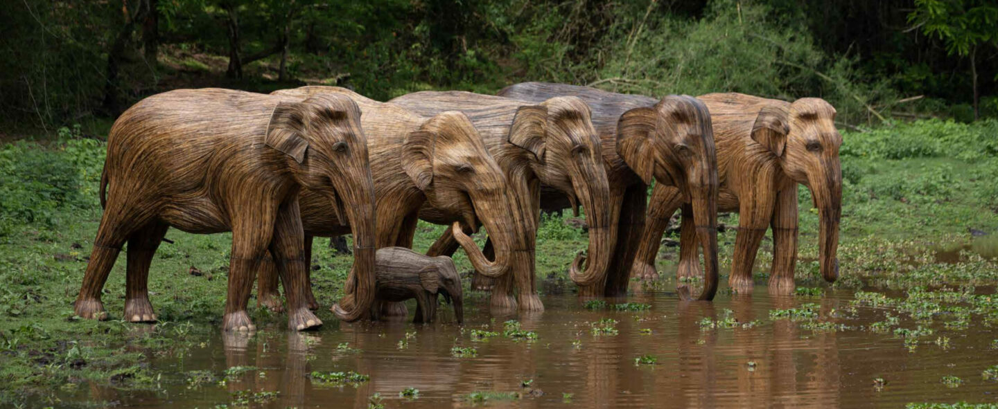 Human-Wildlife Coexistence, Lantana Elephants
