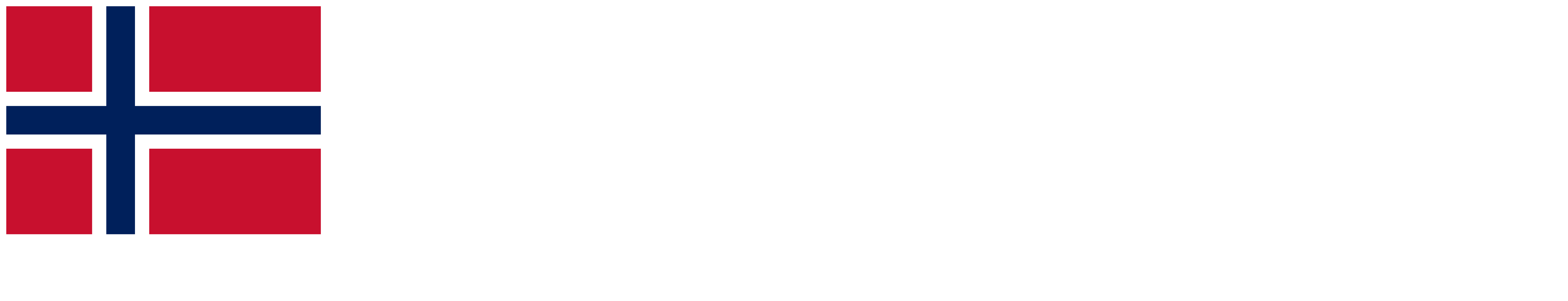 Business Norway