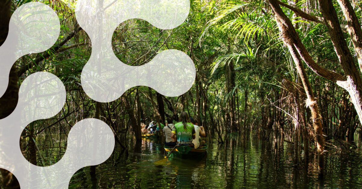 nexBio Amazônia: Entrepreneurs in the Amazon Rainforest - Swissnex