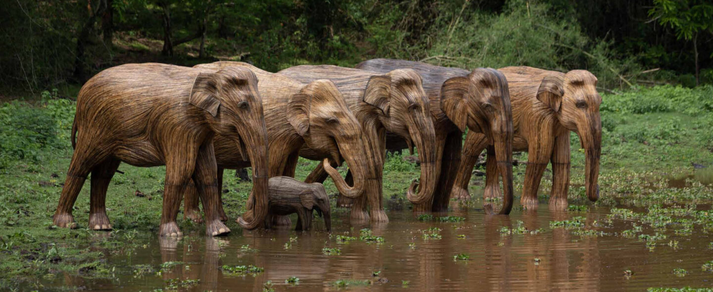 Human-Wildlife Coexistence, Lantana Elephants